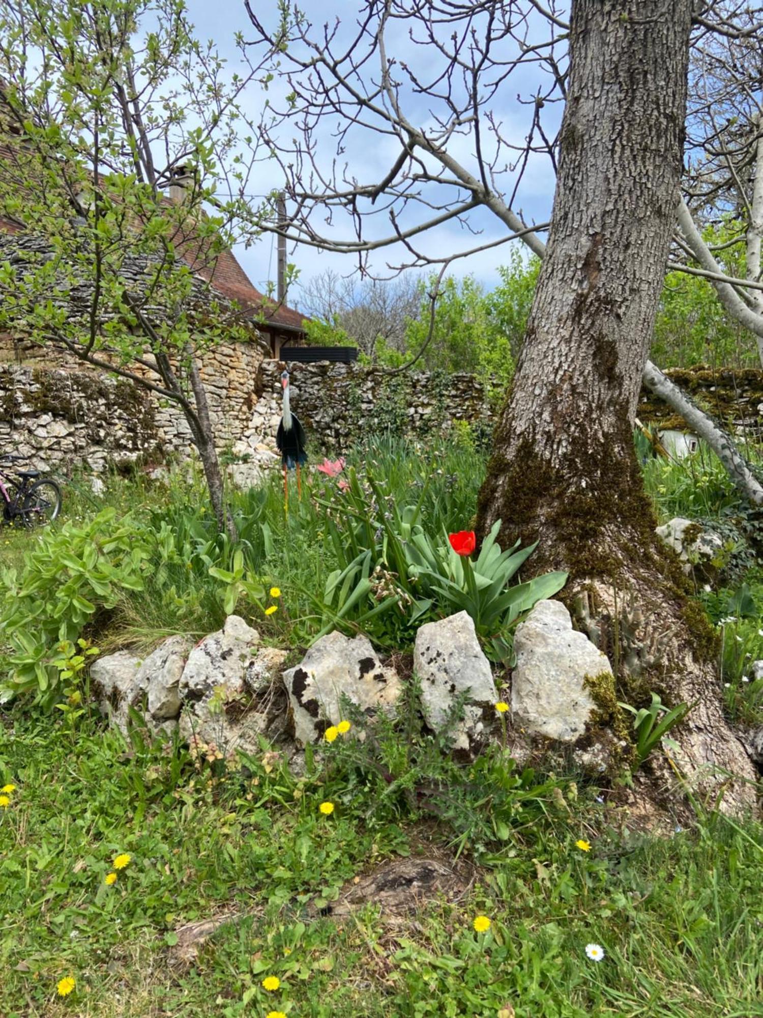 Hébergement de vacances Sur Le Causse De St Chels, Charme Sport Et Détente Saint-Chels