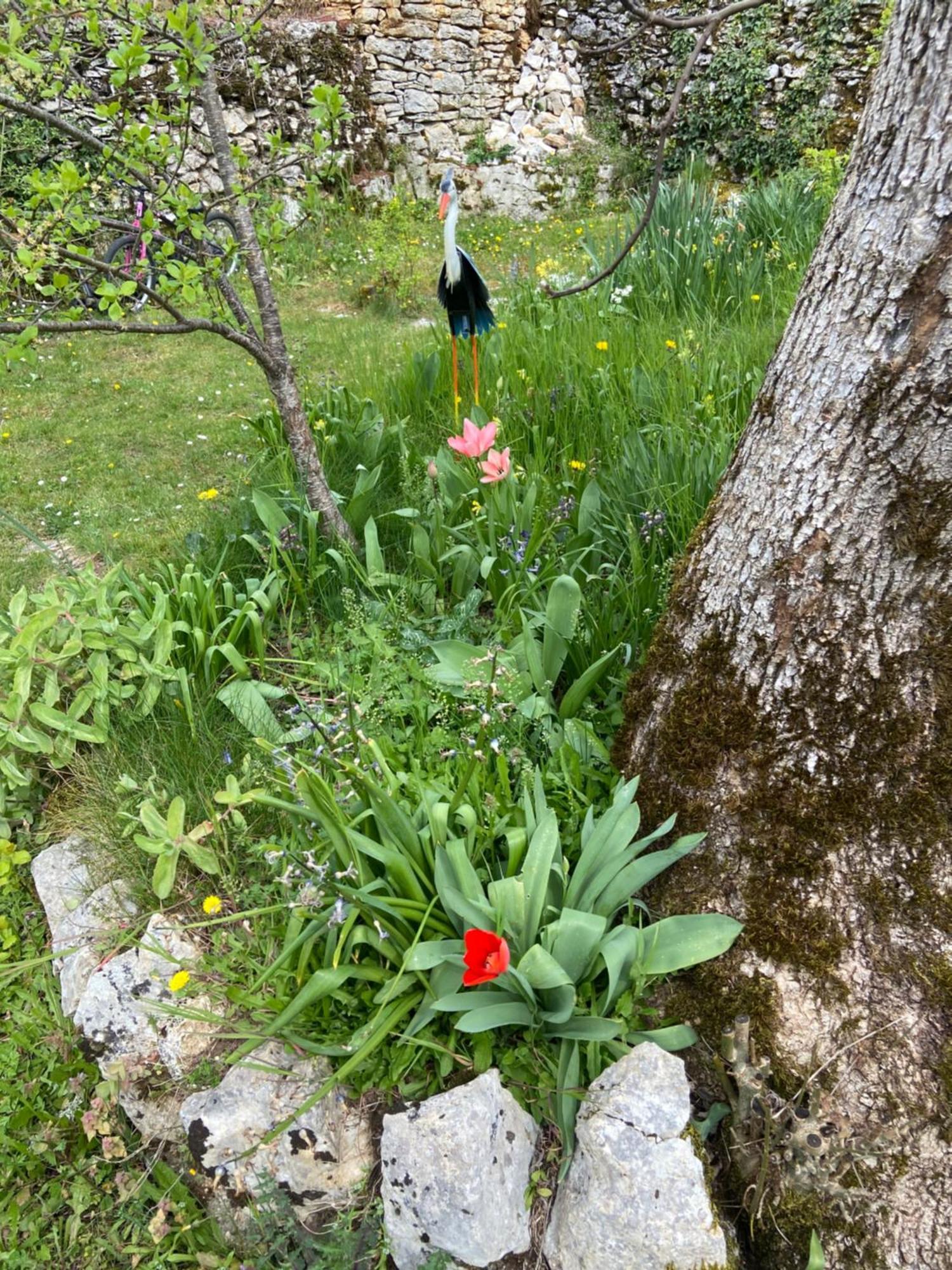 Sur Le Causse De St Chels, Charme Sport Et Detente Holiday home Saint-Chels