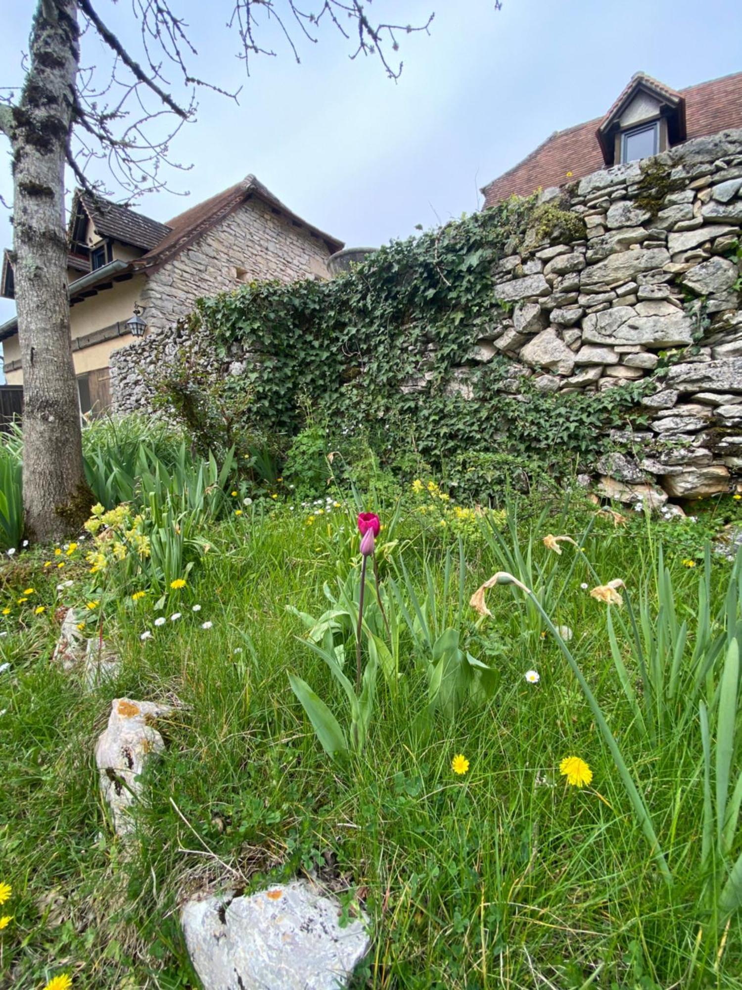 Sur Le Causse De St Chels, Charme Sport Et Detente Holiday home *
