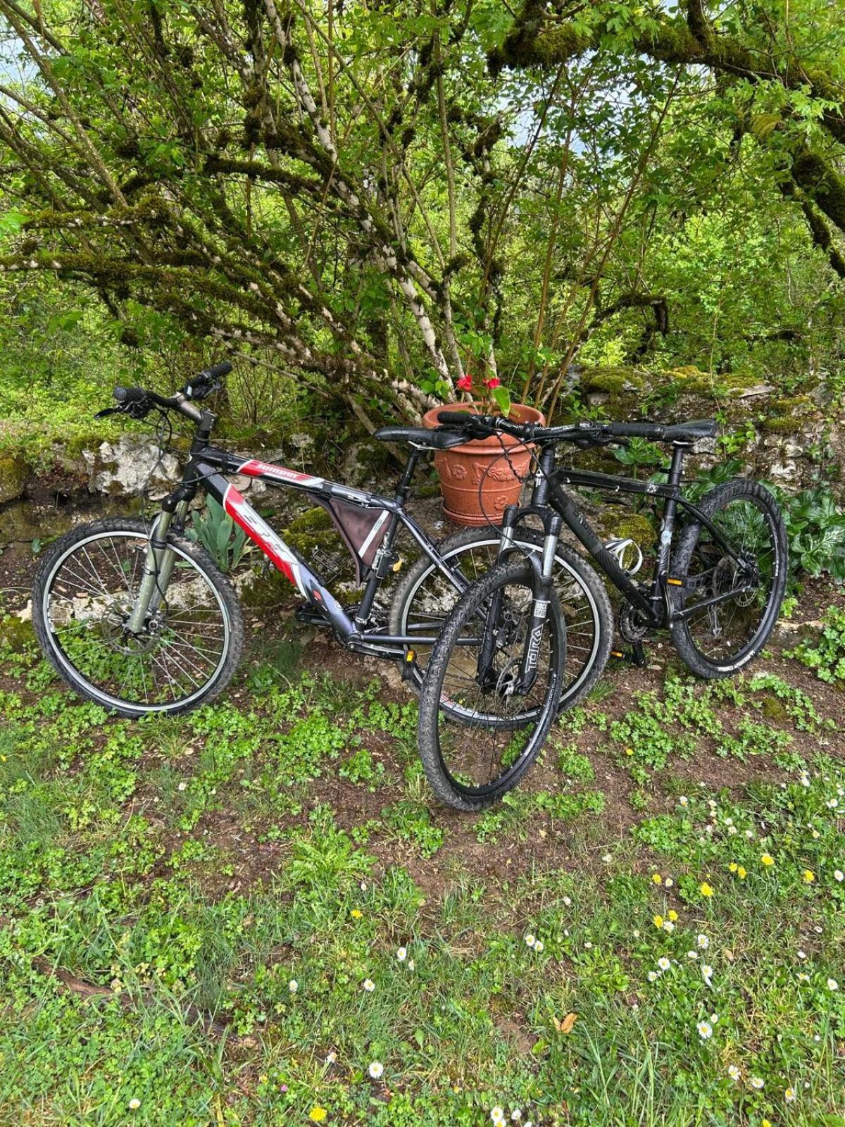Sur Le Causse De St Chels, Charme Sport Et Detente Holiday home *